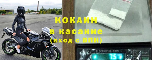 прущие грибы Липки